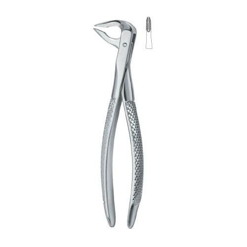 Tooth Extracting Forceps